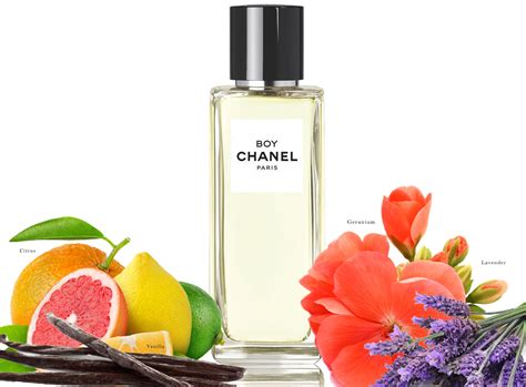 boy chanel profumo|Chanel fragrance.